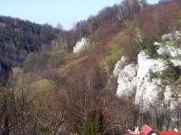Rezerwat przyrody Dolina Kluczwody